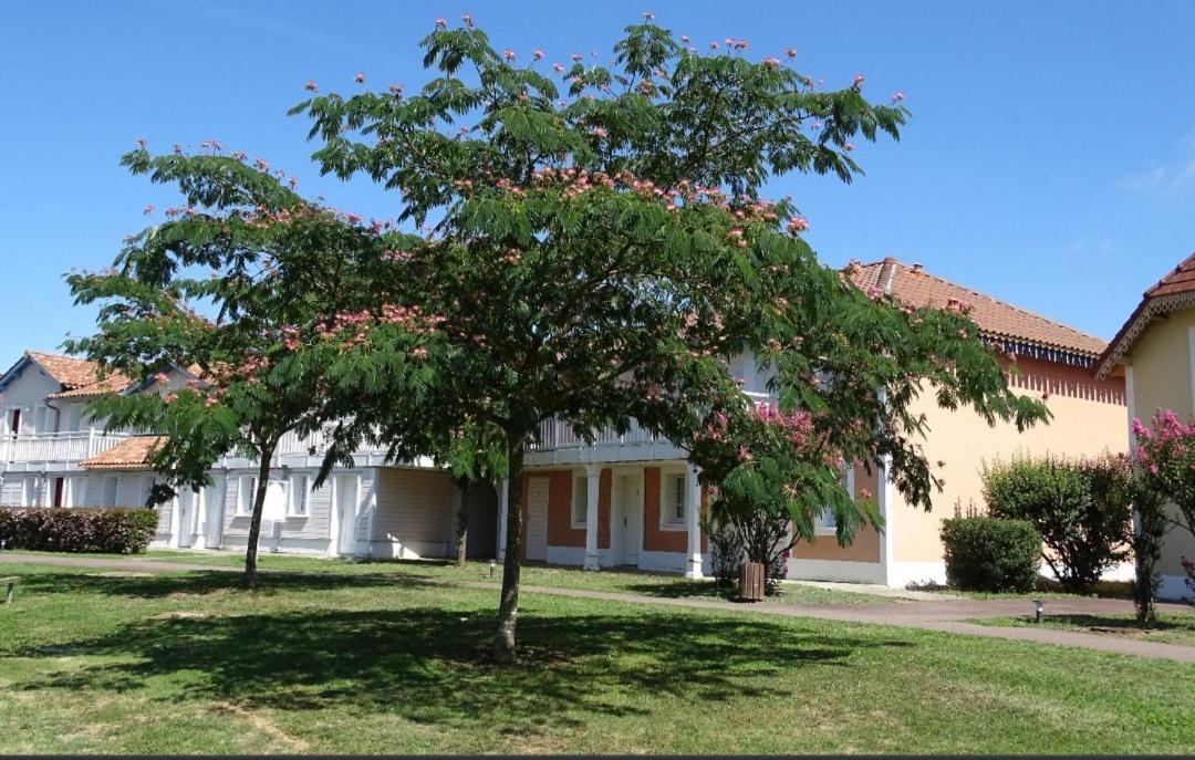 Appartement Au Calme Face Au Lac Marciac Bagian luar foto